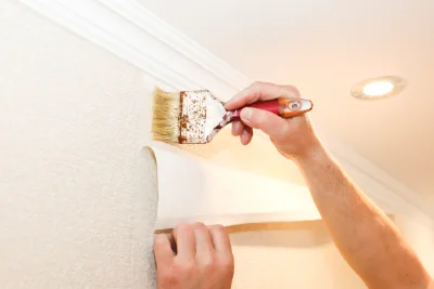 Pose de papier peint à Mévouillon — revêtements muraux et toiles de verre